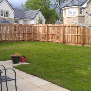 Before: single slatted fence and some grass