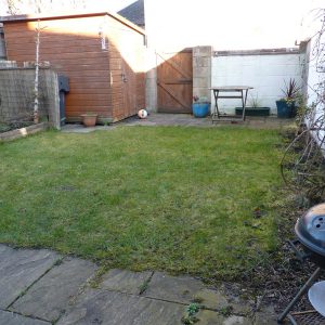 Before: some grass and a shed