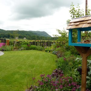 The upcycled bird table & the curving lawn