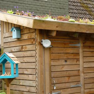 The pallet shed with a living roof