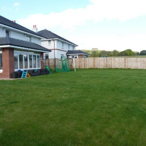 Before: lots of lawn and little of interest