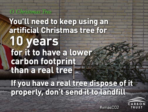 Real christmas tree facts