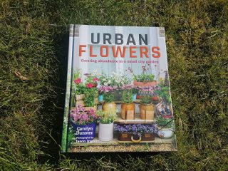 Urban Flowers by Carolyn Dunster
