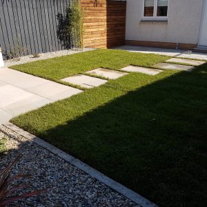 View looking back down the garden