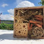 Fill your bug hotel with lots of things for creepy crawlies to hide in