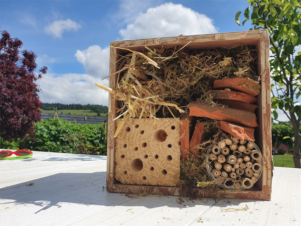 Fill your bug hotel with lots of things for creepy crawlies to hide in