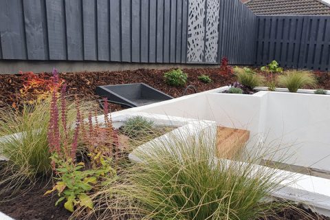 Beautiful planting surrounds the new seating area