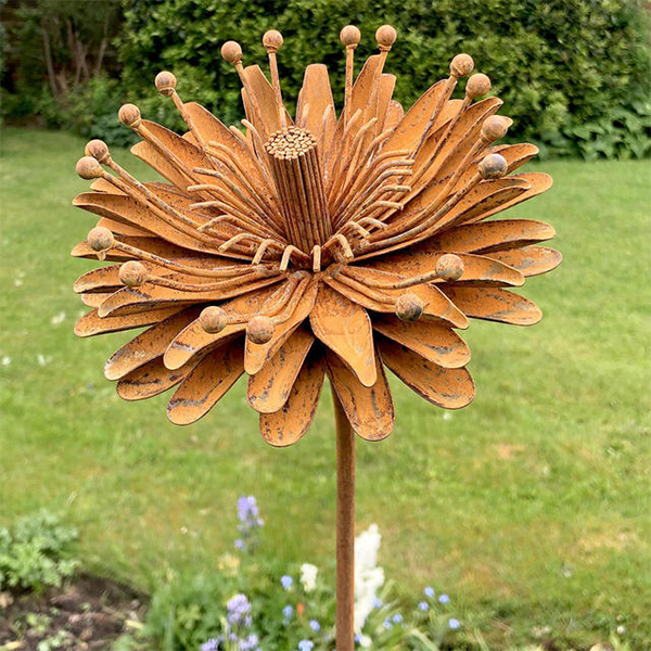 Rusted aster flower