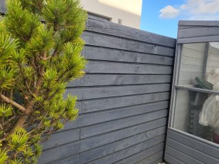 Paint your fences to protect and make them look good