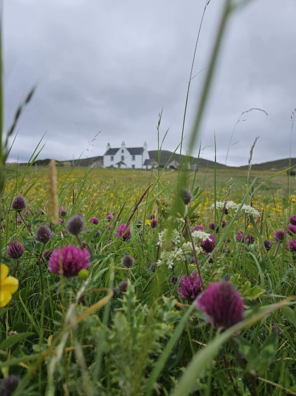 Stunning machair