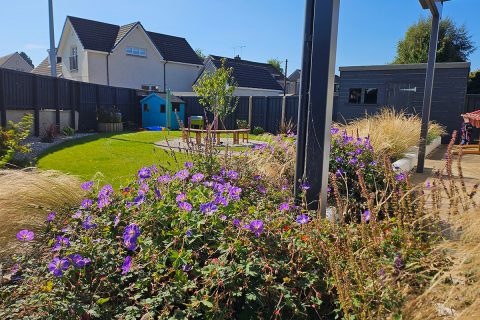 View across the new garden