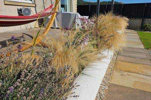 Lavender, grasses and herbaceous look stunning