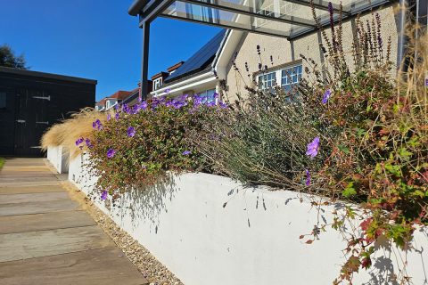 The rendered raised beds are filled with beautiful plants