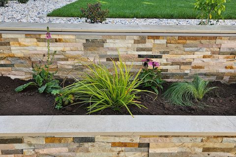 Lush planting in the raised beds