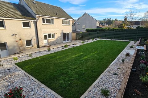 Beautiful planting in gravel