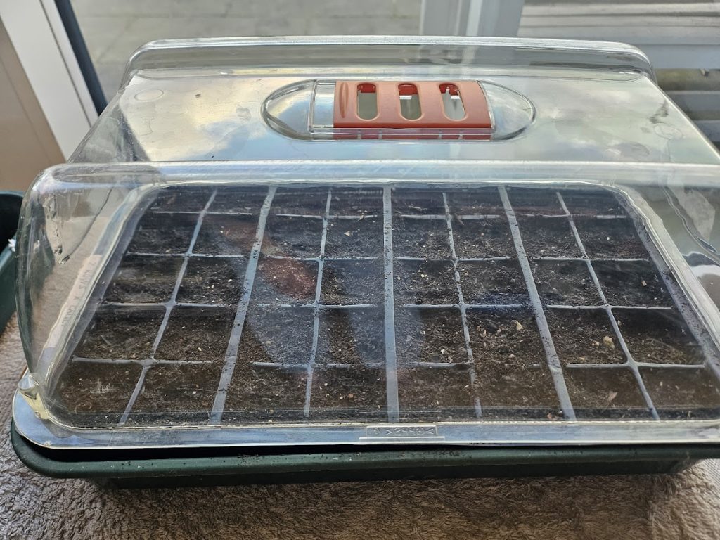 A seed tray can fit lots of different types of plants