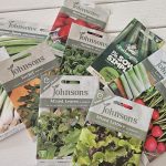 A nice selection of easy to grow veg